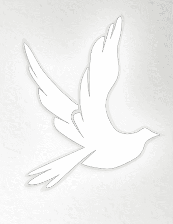 Harry C. Rickard Obituary